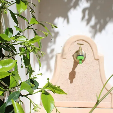 Dimora Moresco By Symphonya Appartement *